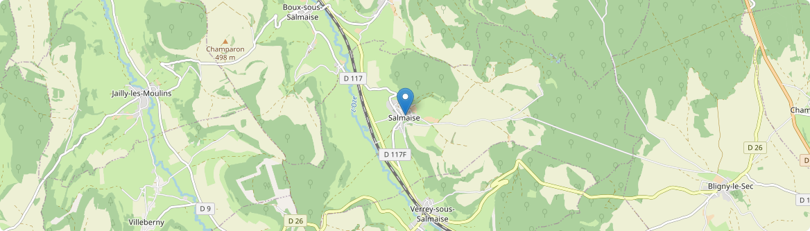 Salmaise - Carte