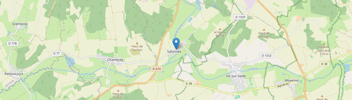 Salonnes - Carte