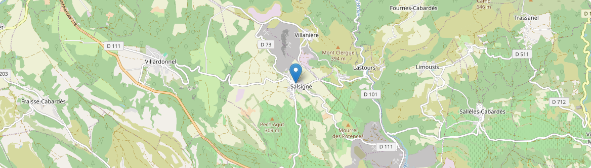 Salsigne - Carte