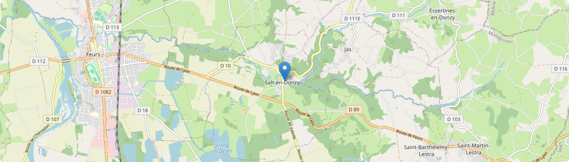 Salt-en-Donzy - Carte