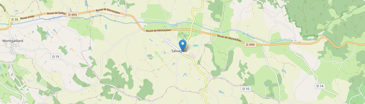 Salvagnac - Carte