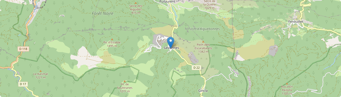 Salvezines - Carte