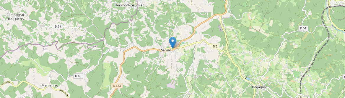 Salviac - Carte