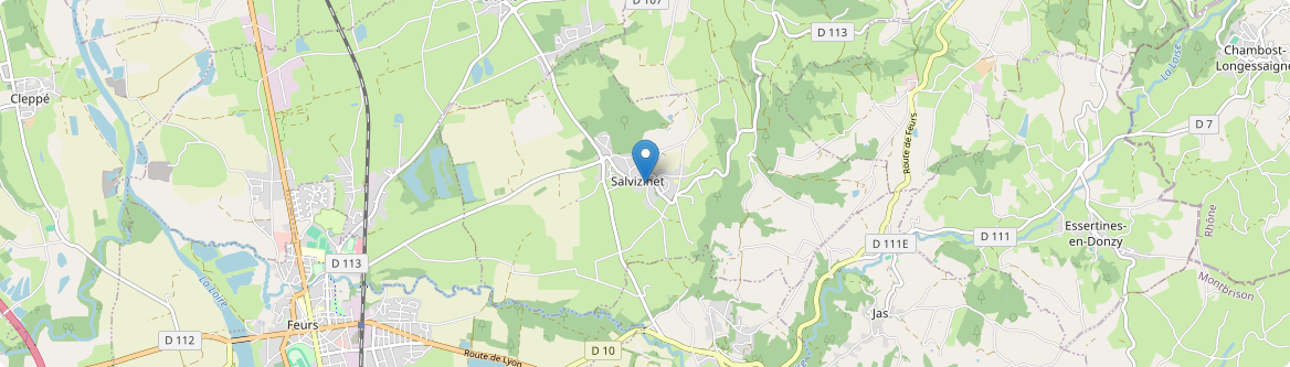 Salvizinet - Carte