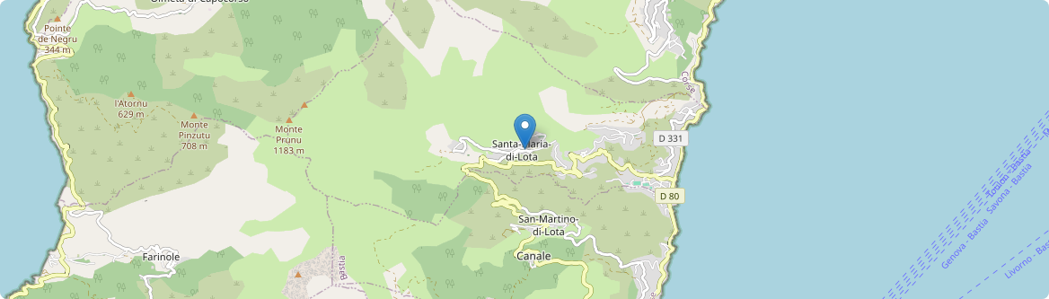 Santa-Maria-di-Lota - Carte