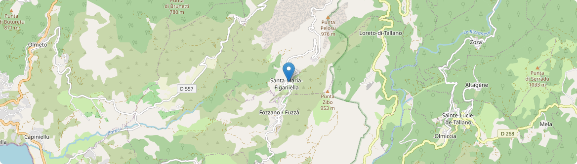 Santa-Maria-Figaniella - Carte
