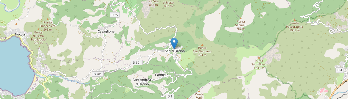 Sari-d'Orcino - Carte
