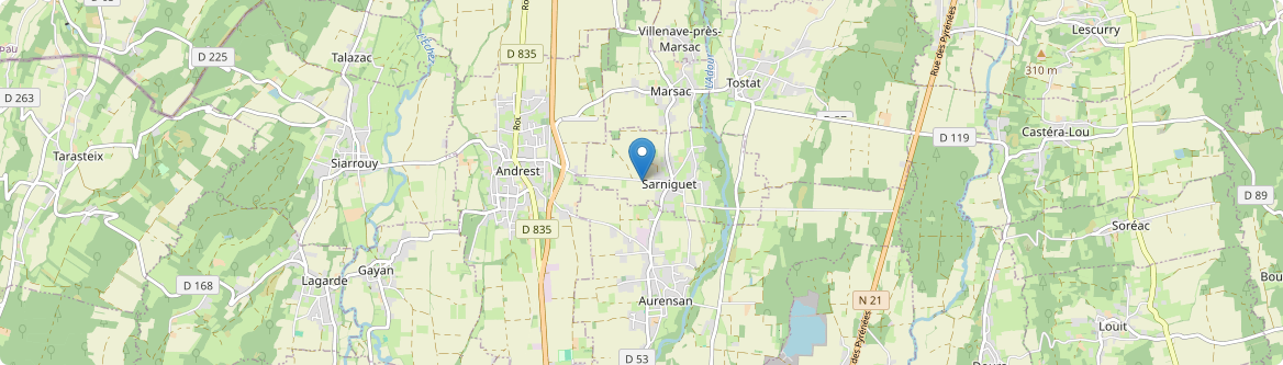 Sarniguet - Carte