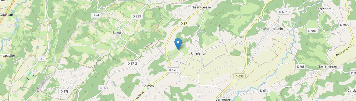 Sarrecave - Carte
