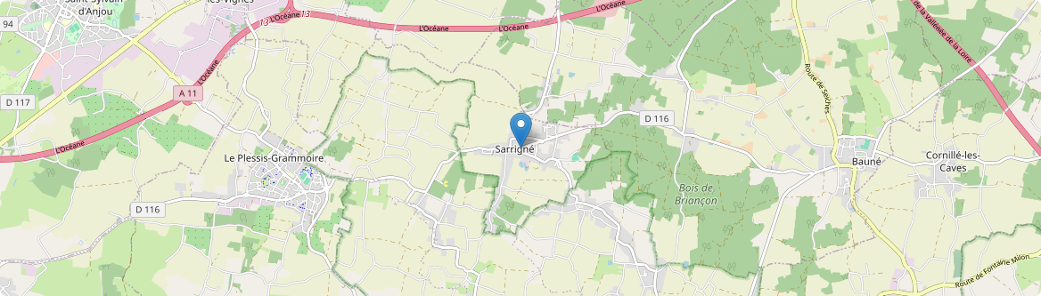 Sarrigné - Carte