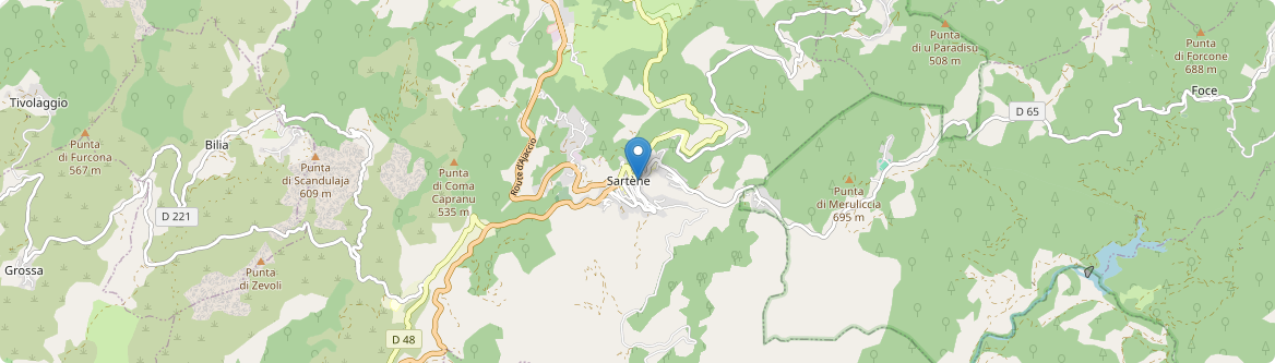 Sartène - Carte