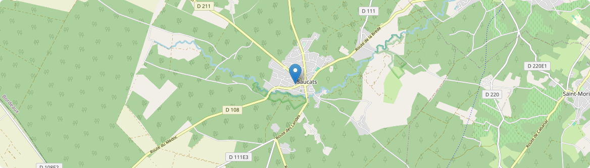 Saucats - Carte