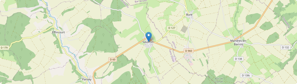 Saudron - Carte