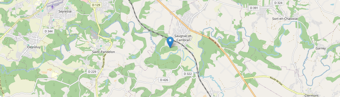 Saugnac-et-Cambran - Carte