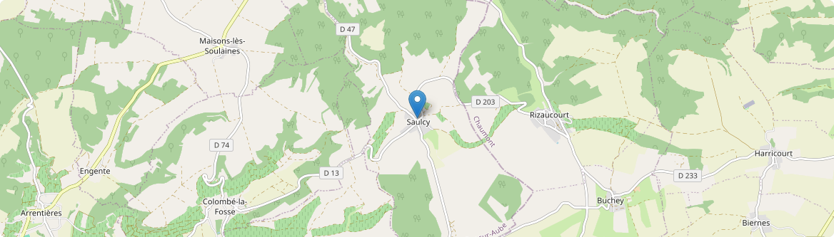 Saulcy - Carte