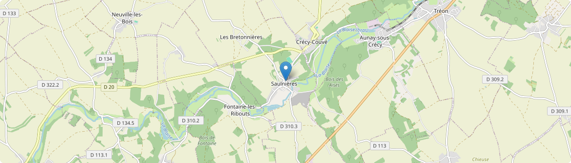 Saulnières - Carte