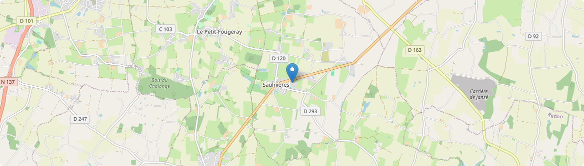 Saulnières - Carte