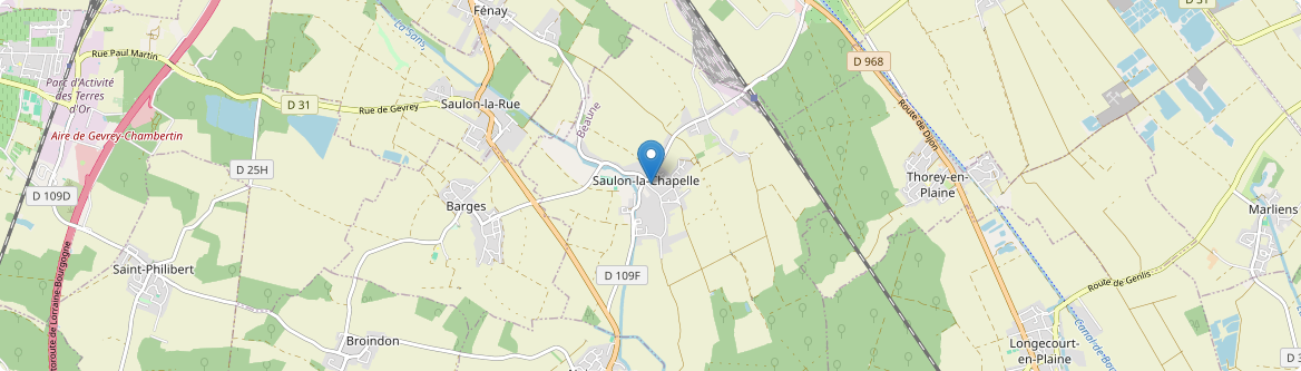 Saulon-la-Chapelle - Carte