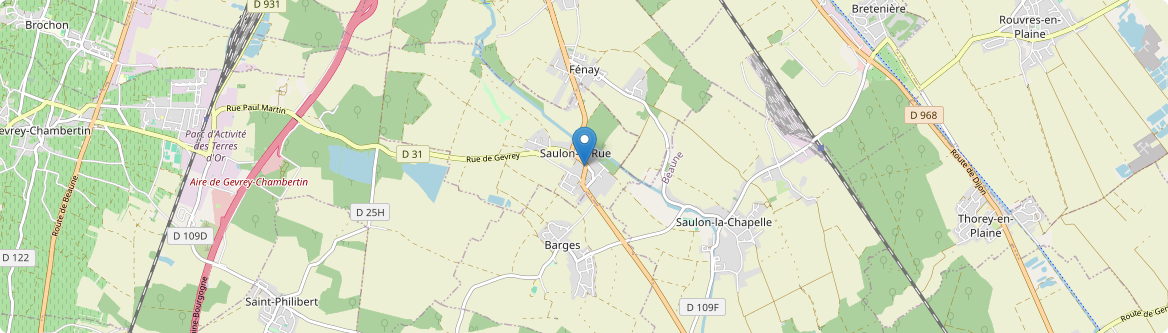 Saulon-la-Rue - Carte