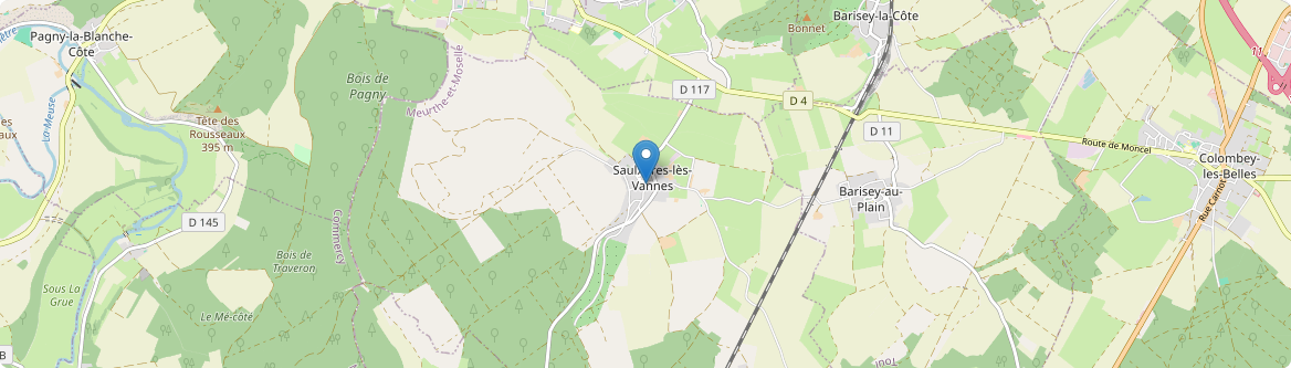 Saulxures-lès-Vannes - Carte