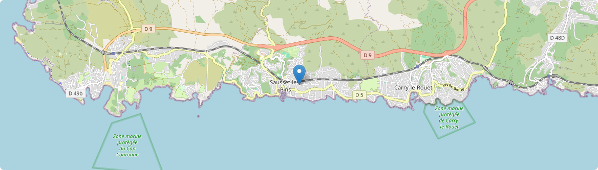 Sausset-les-Pins - Carte