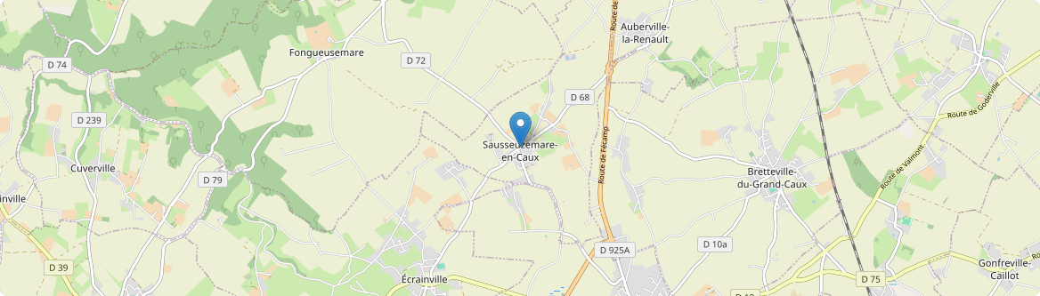 Sausseuzemare-en-Caux - Carte