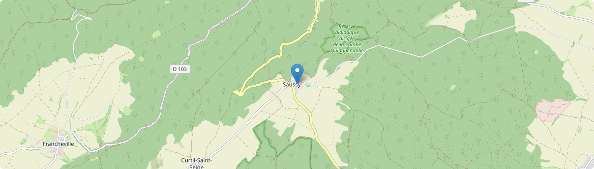 Saussy - Carte