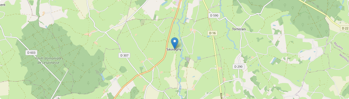 Sauvagny - Carte