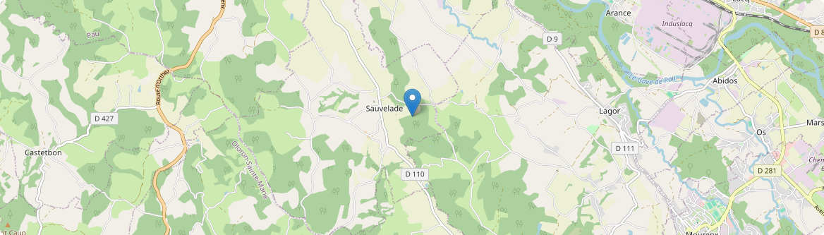Sauvelade - Carte