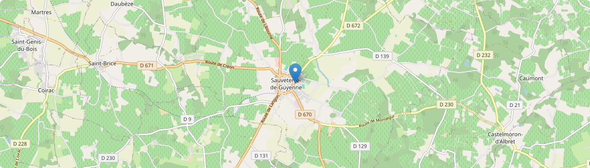 Sauveterre-de-Guyenne - Carte