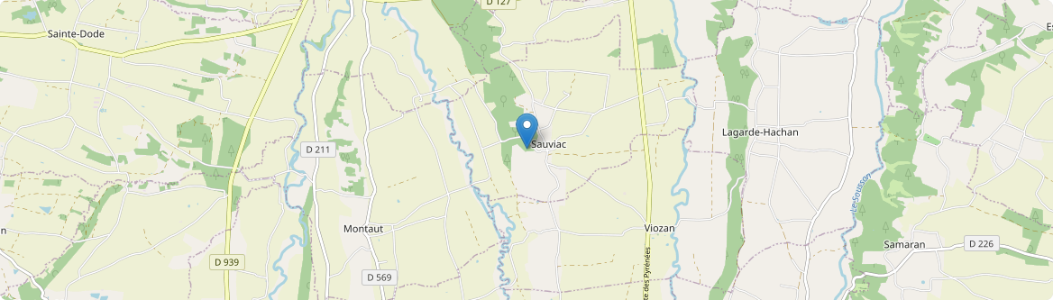 Sauviac - Carte