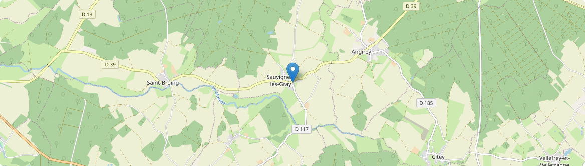 Sauvigney-lès-Gray - Carte