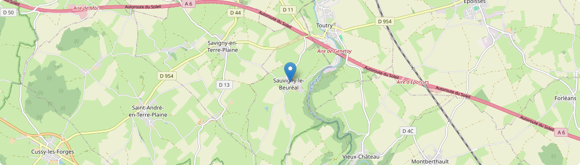 Sauvigny-le-Beuréal - Carte
