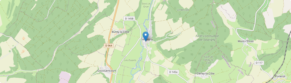 Sauvigny - Carte