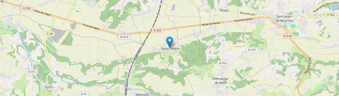Savas-Mépin - Carte