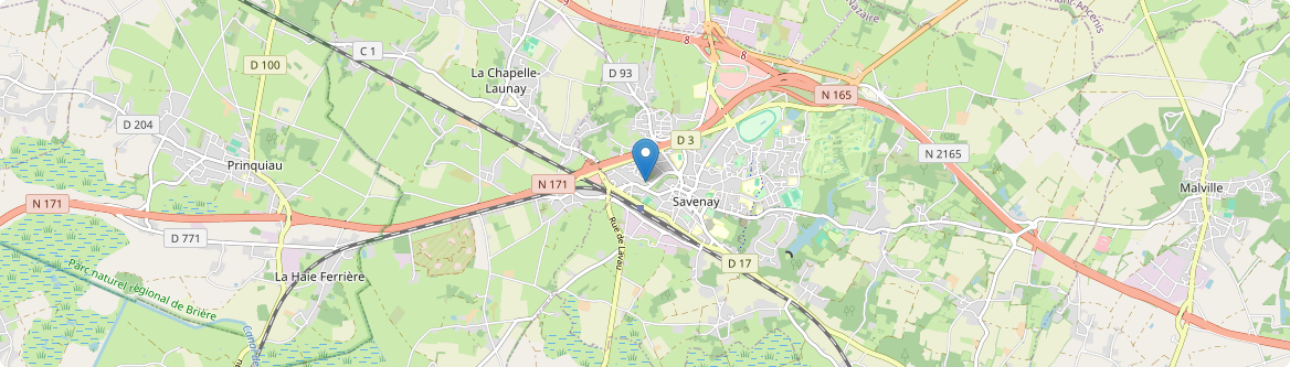 Savenay - Carte