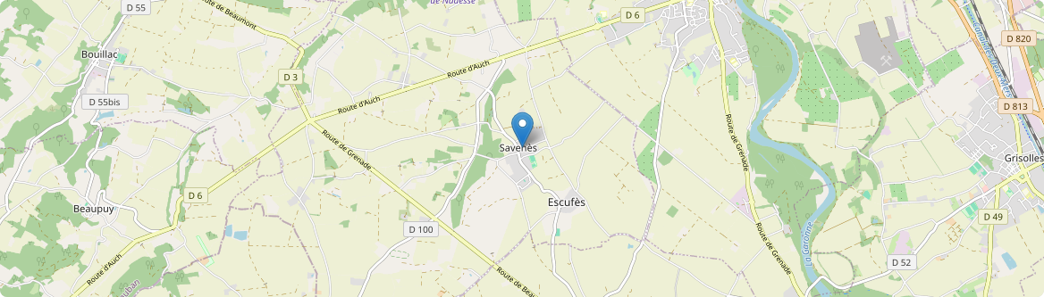 Savenès - Carte