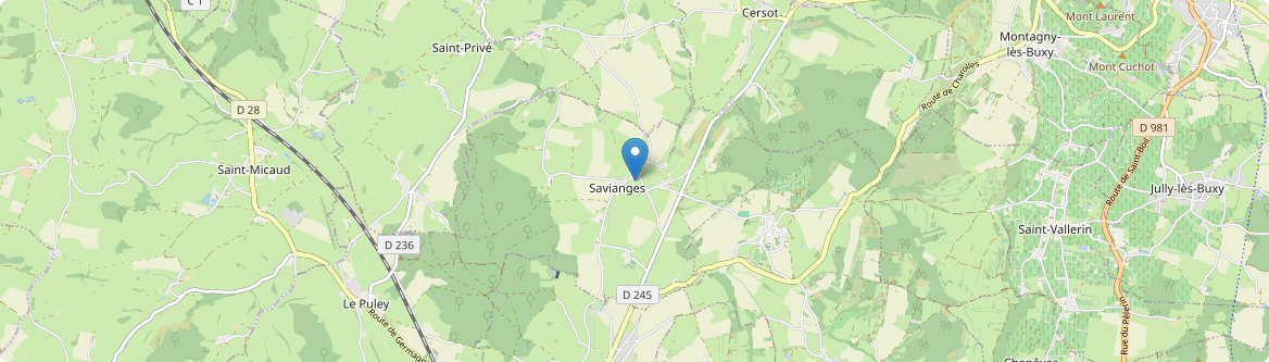 Savianges - Carte