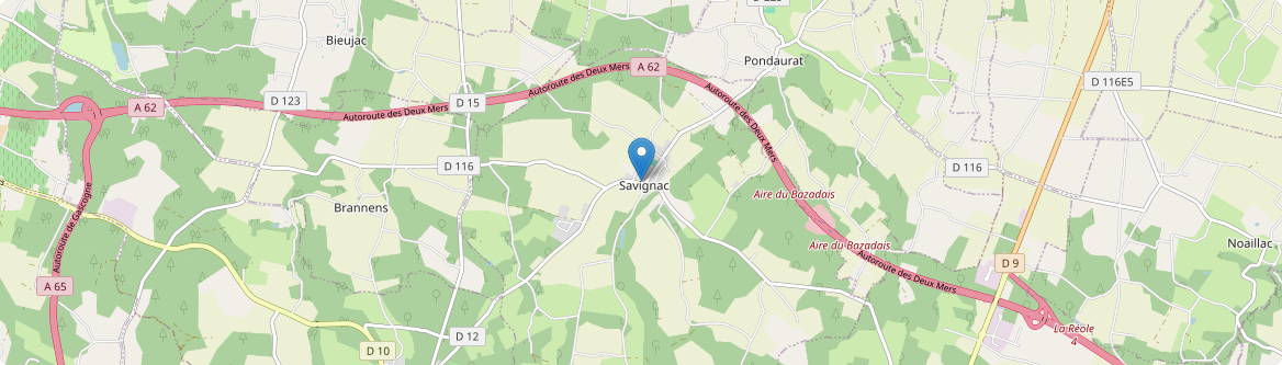 Savignac - Carte