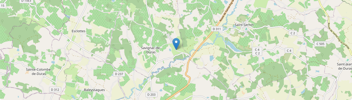 Savignac-de-Duras - Carte