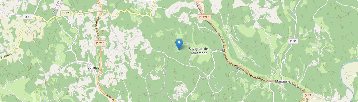 Savignac-de-Miremont - Carte