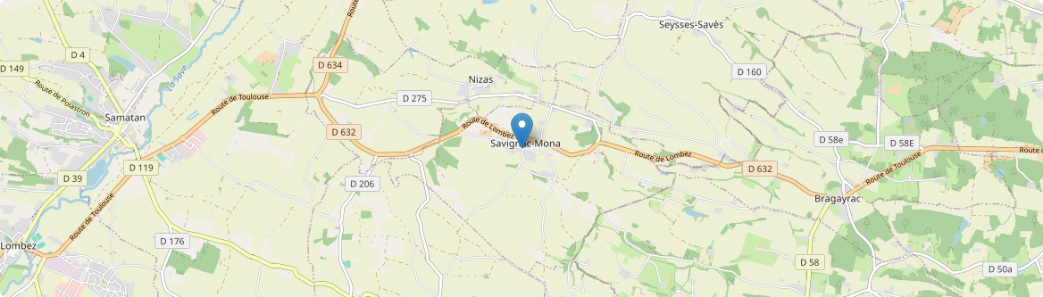 Savignac-Mona - Carte