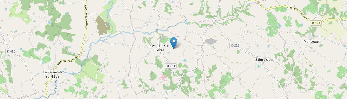 Savignac-sur-Leyze - Carte