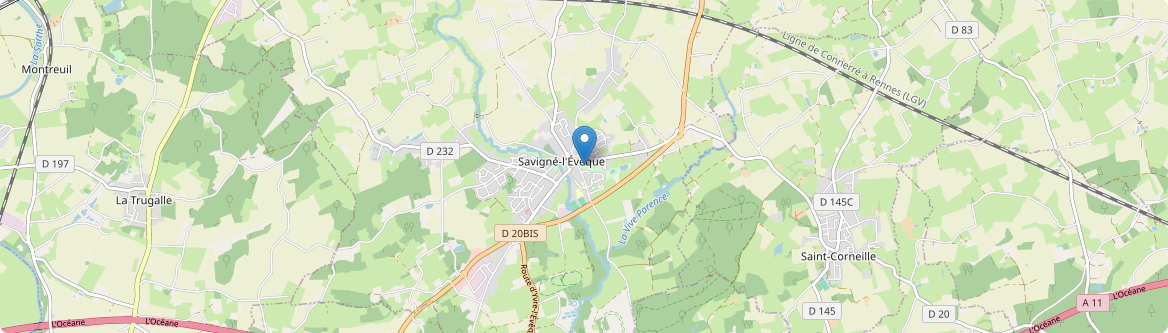 Savigné-l'Évêque - Carte