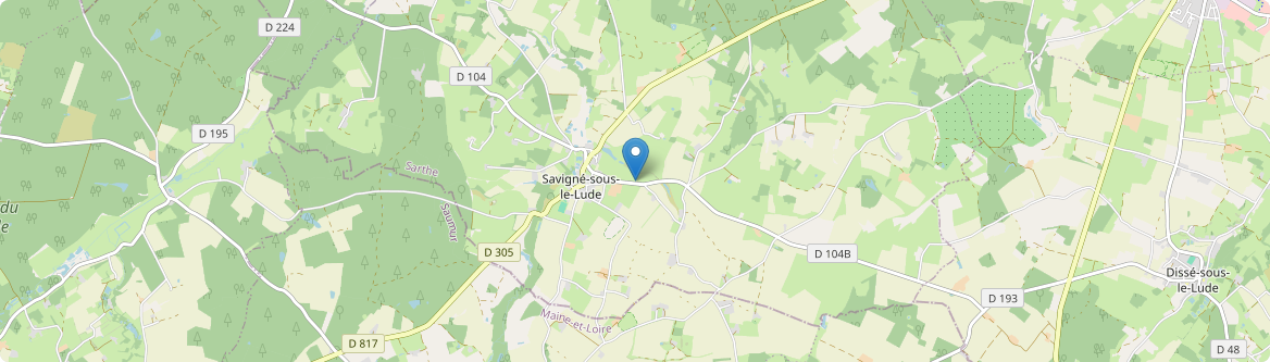Savigné-sous-le-Lude - Carte
