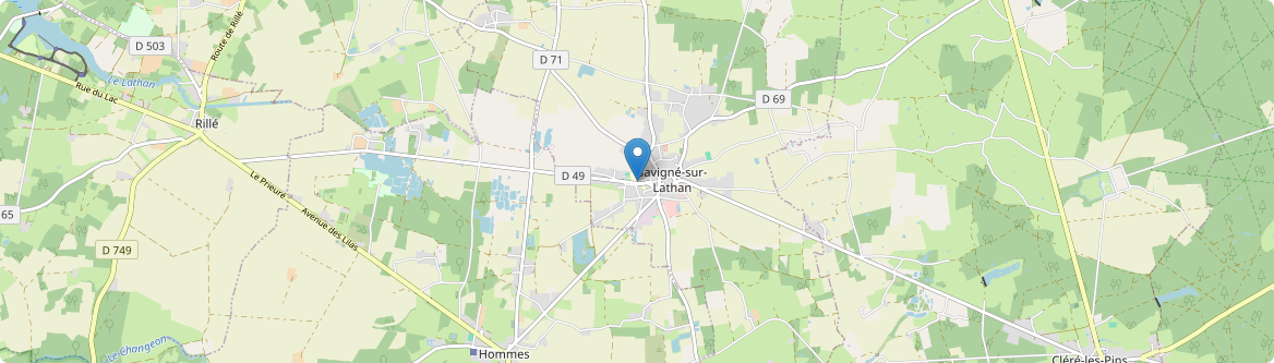 Savigné-sur-Lathan - Carte
