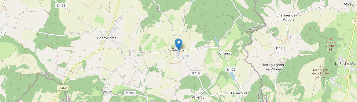Savigny - Carte