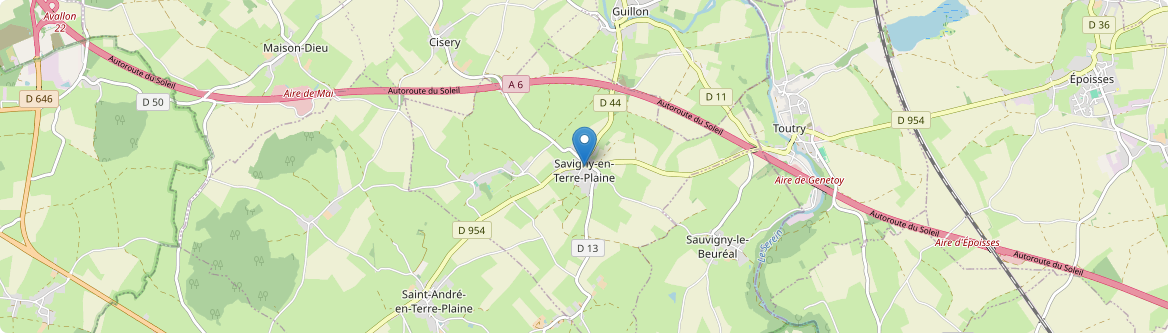 Savigny-en-Terre-Plaine - Carte