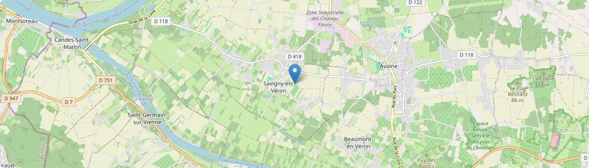 Savigny-en-Véron - Carte