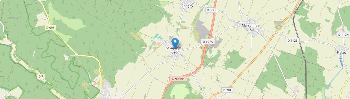 Savigny-le-Sec - Carte